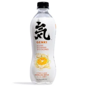 Forest Orange - Genki - 480ml